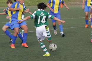 爱游戏体育app-体育新闻中心发布体育内容原创度智能评估工具，体育新闻可视化  第2张